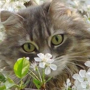 Meet your Posher, Ekaterina